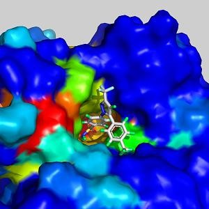 Celecoxib